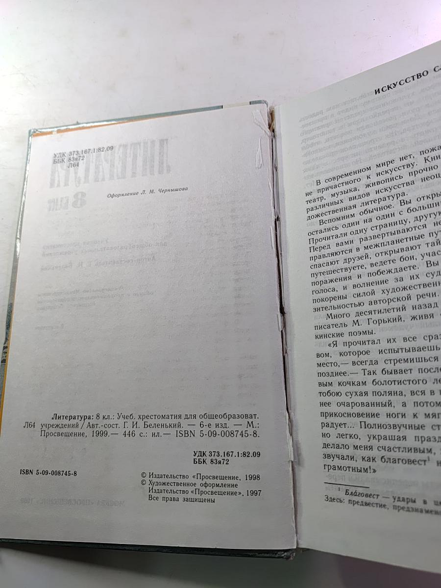 Литература 8 класс