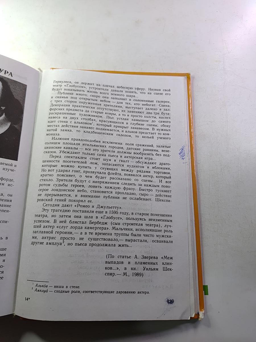 Литература 8 класс