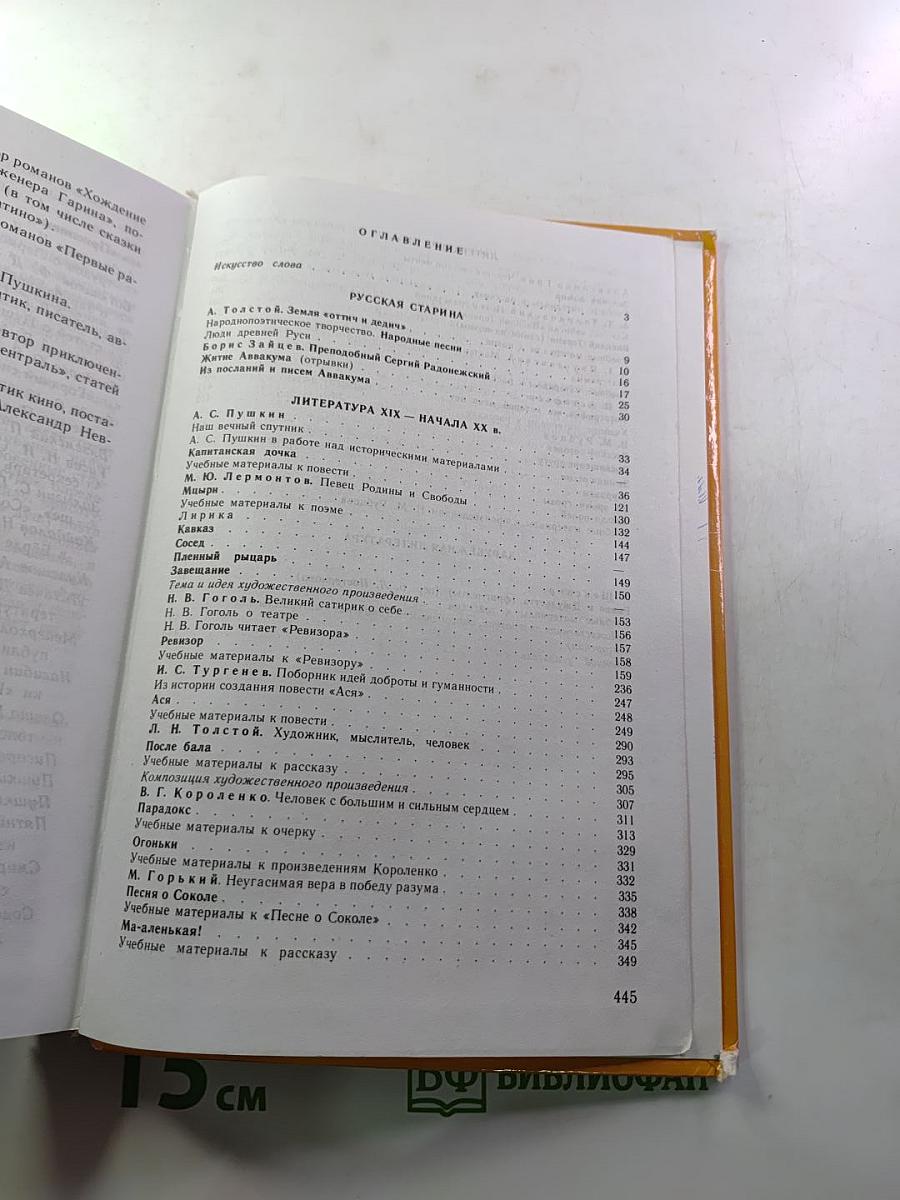 Литература 8 класс