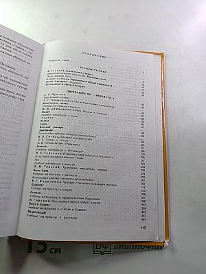 Литература 8 класс