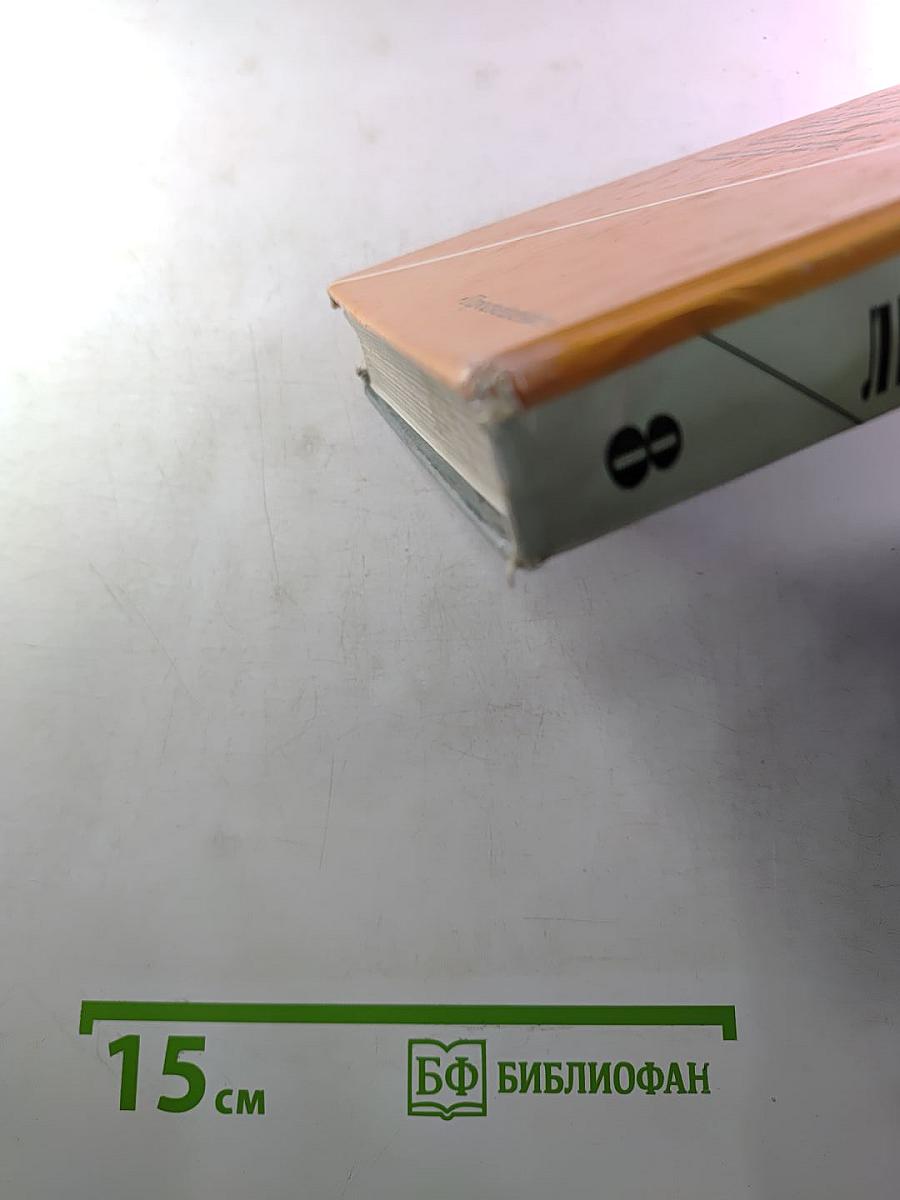 Литература 8 класс