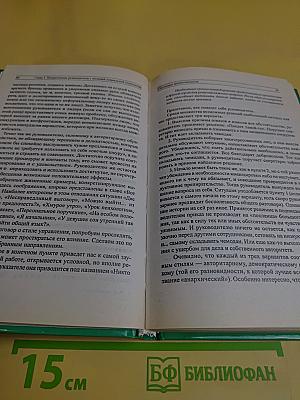 Мастерство управленческого общения: руководитель в повседневных контактах и конфликтах