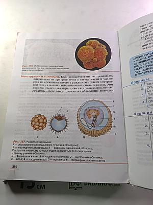 Биология. Человек. 8 класс