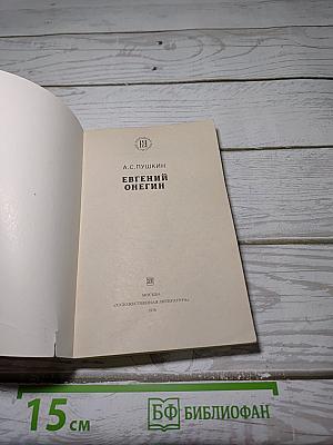 Евгений Онегин