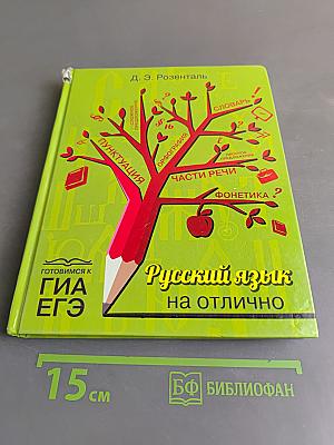 Русский язык на отлично. Орфография и пунктуация
