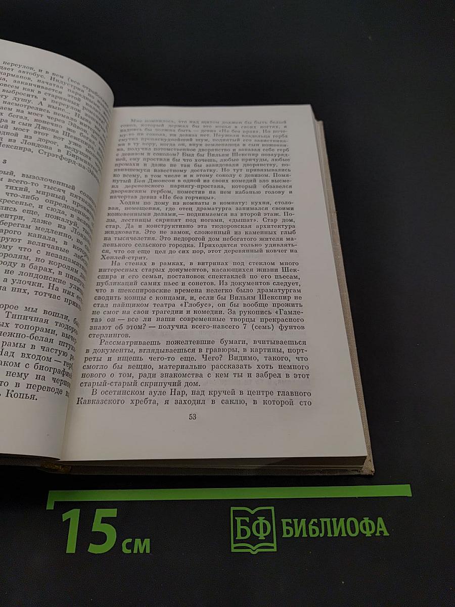 Публицистика. Воспоминания современников