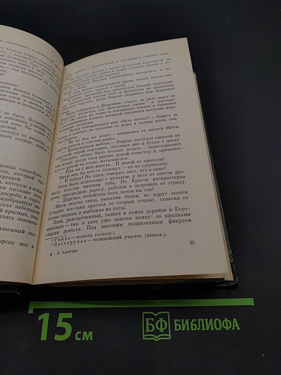 Чужая вотчина
