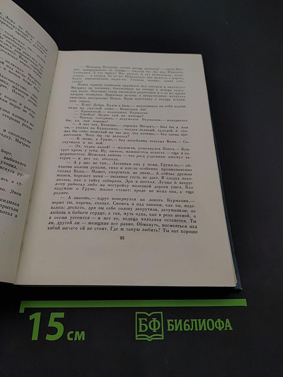 Хребты Саянские. Роман в трех книгах. Книга первая. Гольцы