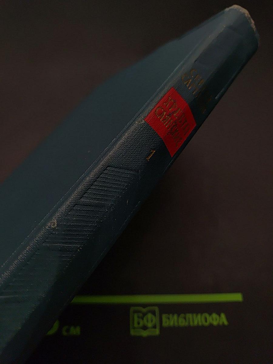 Хребты Саянские. Роман в трех книгах. Книга первая. Гольцы