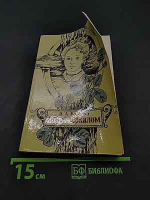 Перед зеркалом
