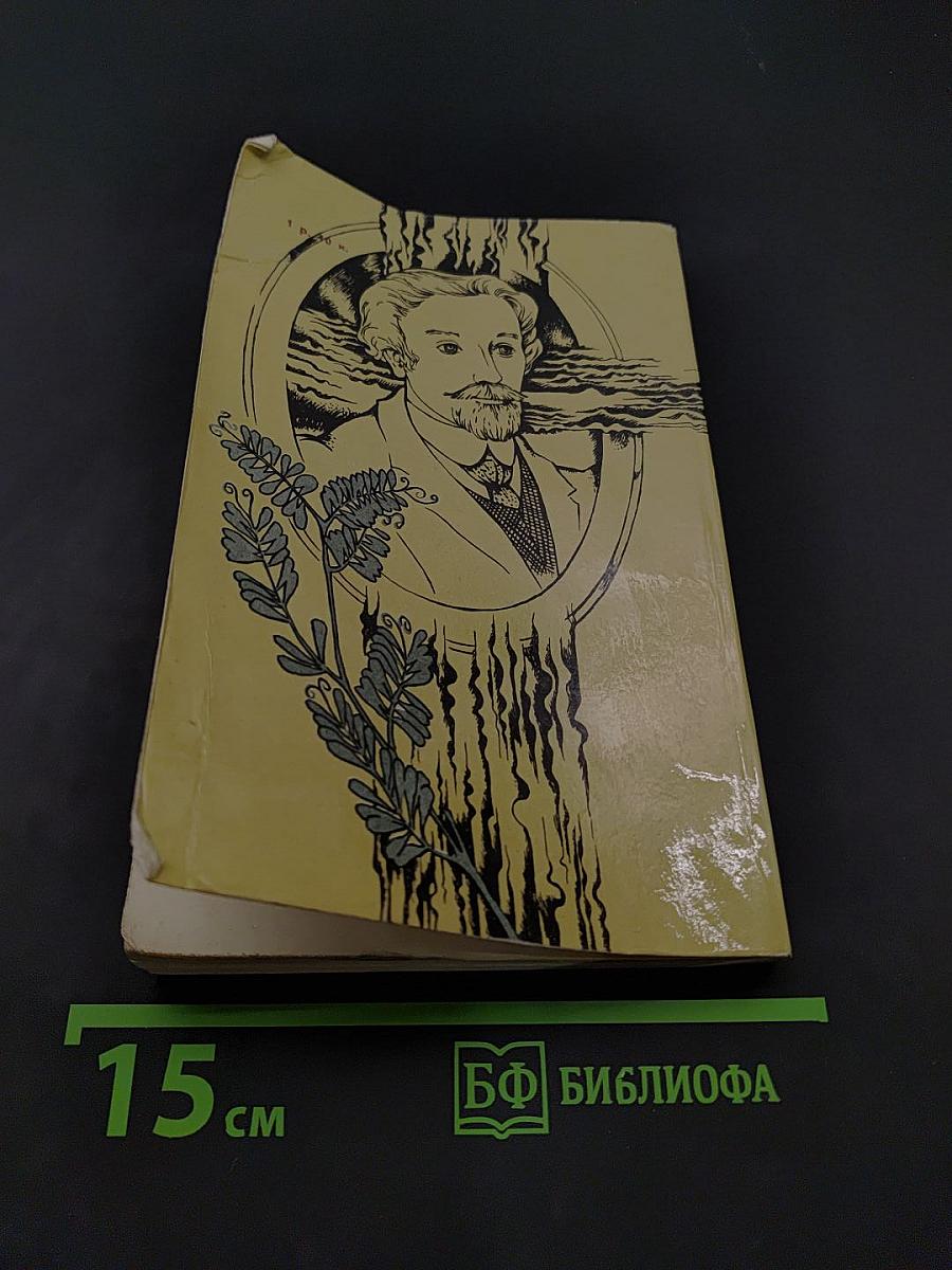Перед зеркалом