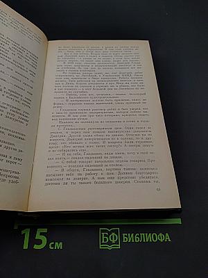 Советский детектив. Ленинградская зима. Я 11-17. Ответная операция