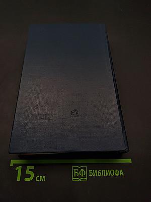 Советский детектив. Ленинградская зима. Я 11-17. Ответная операция