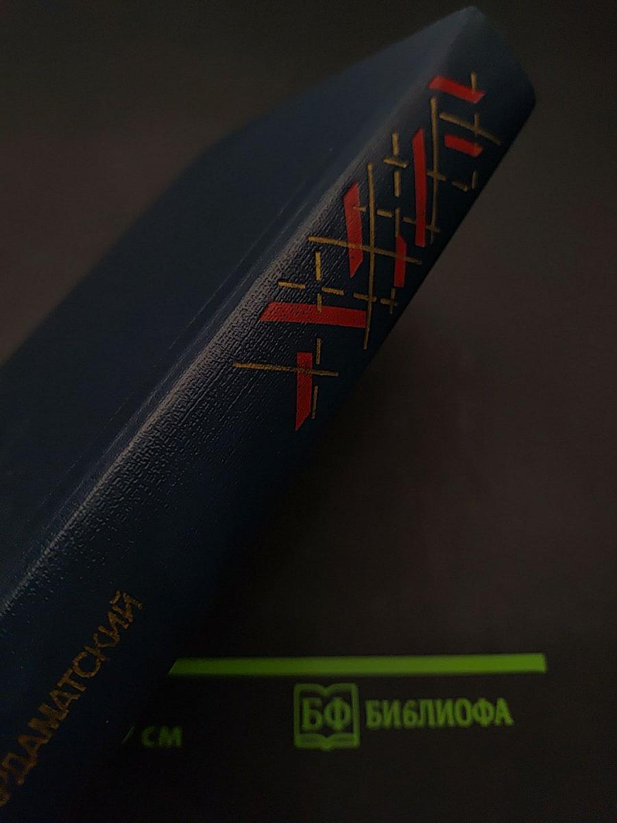 Советский детектив. Ленинградская зима. Я 11-17. Ответная операция