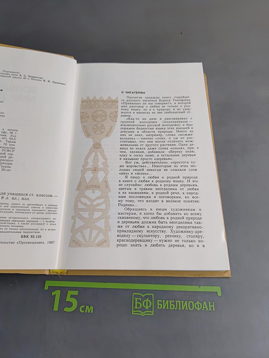 Волшебный мир дерева