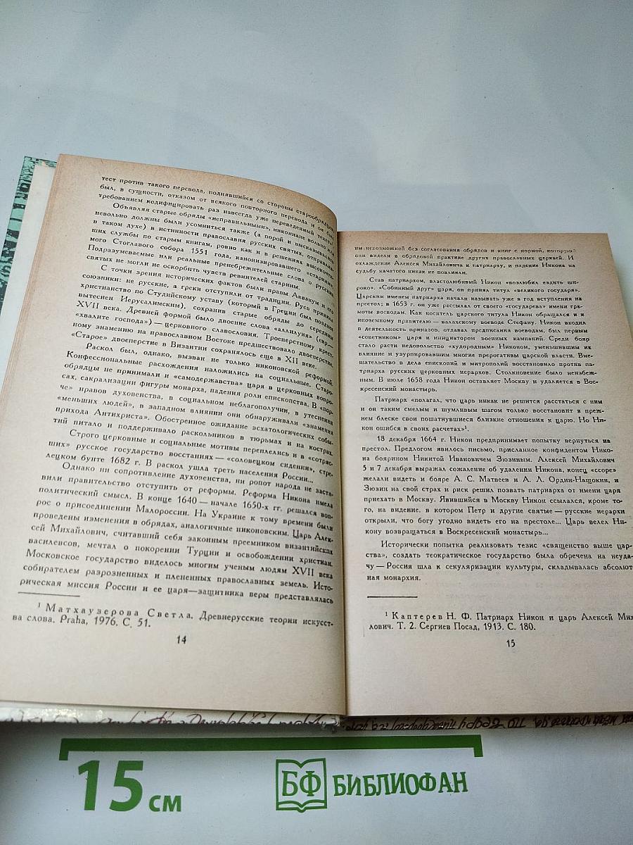 За чьи грехи? Великий раскол