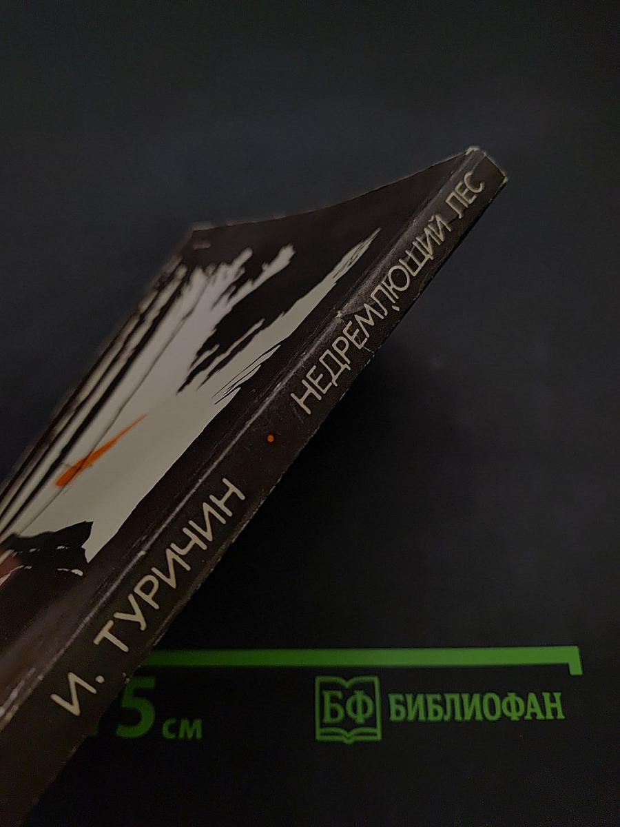 Недремлющий лес. Повести