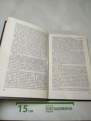 Заметки о Бухарине. Революция. История. Личность
