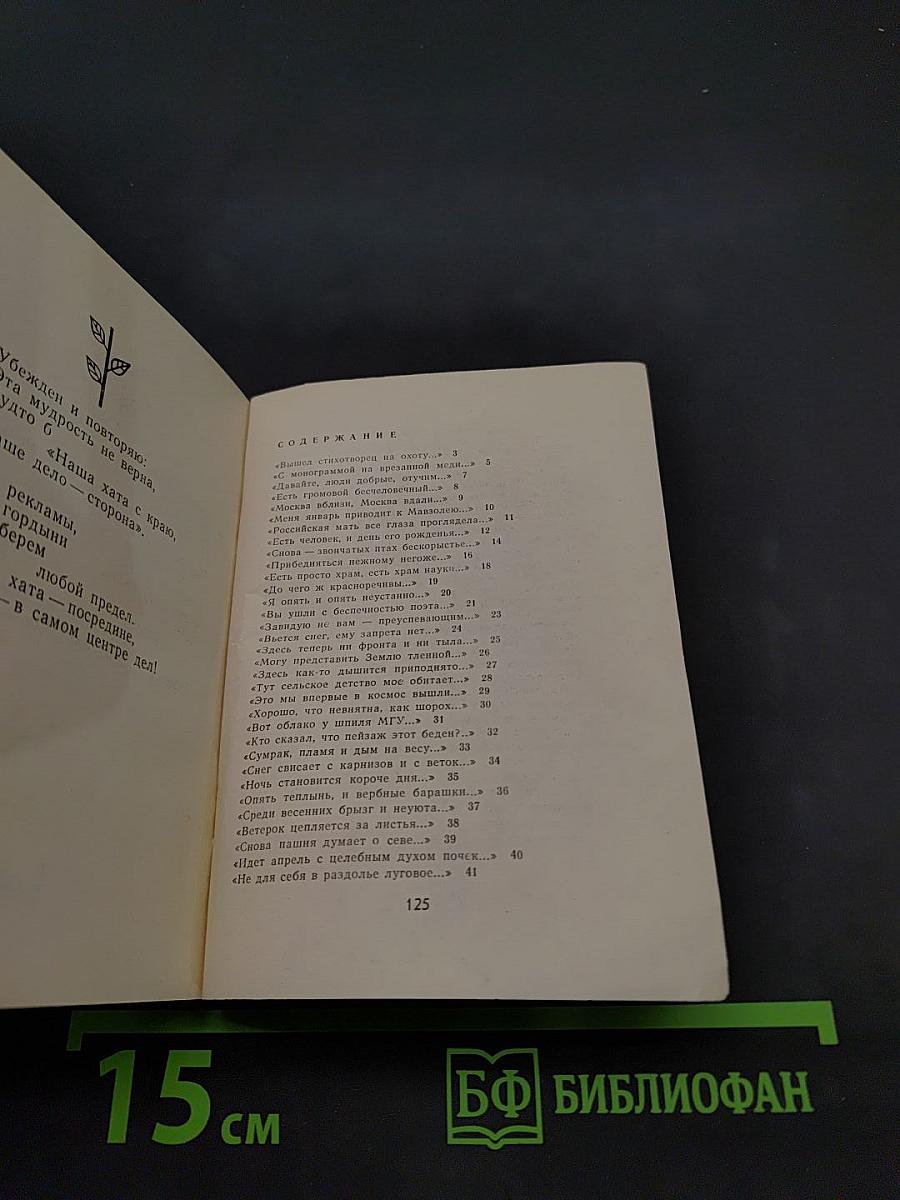 Наедине с прекрасным. Новые стихи