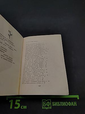 Наедине с прекрасным. Новые стихи
