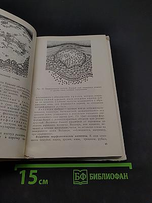 Кожные и венерические болезни