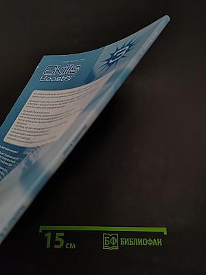 Skills Booster 3 Teacher's Book