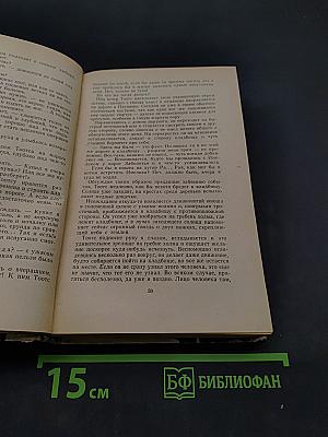 Лето. Картинки юношеских лет