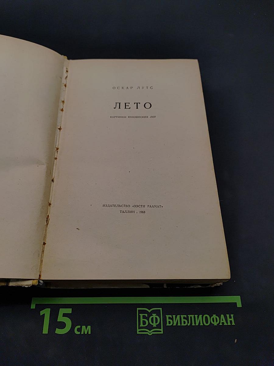 Лето. Картинки юношеских лет