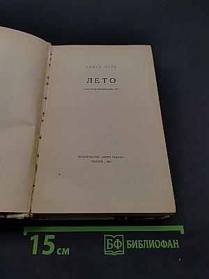 Лето. Картинки юношеских лет