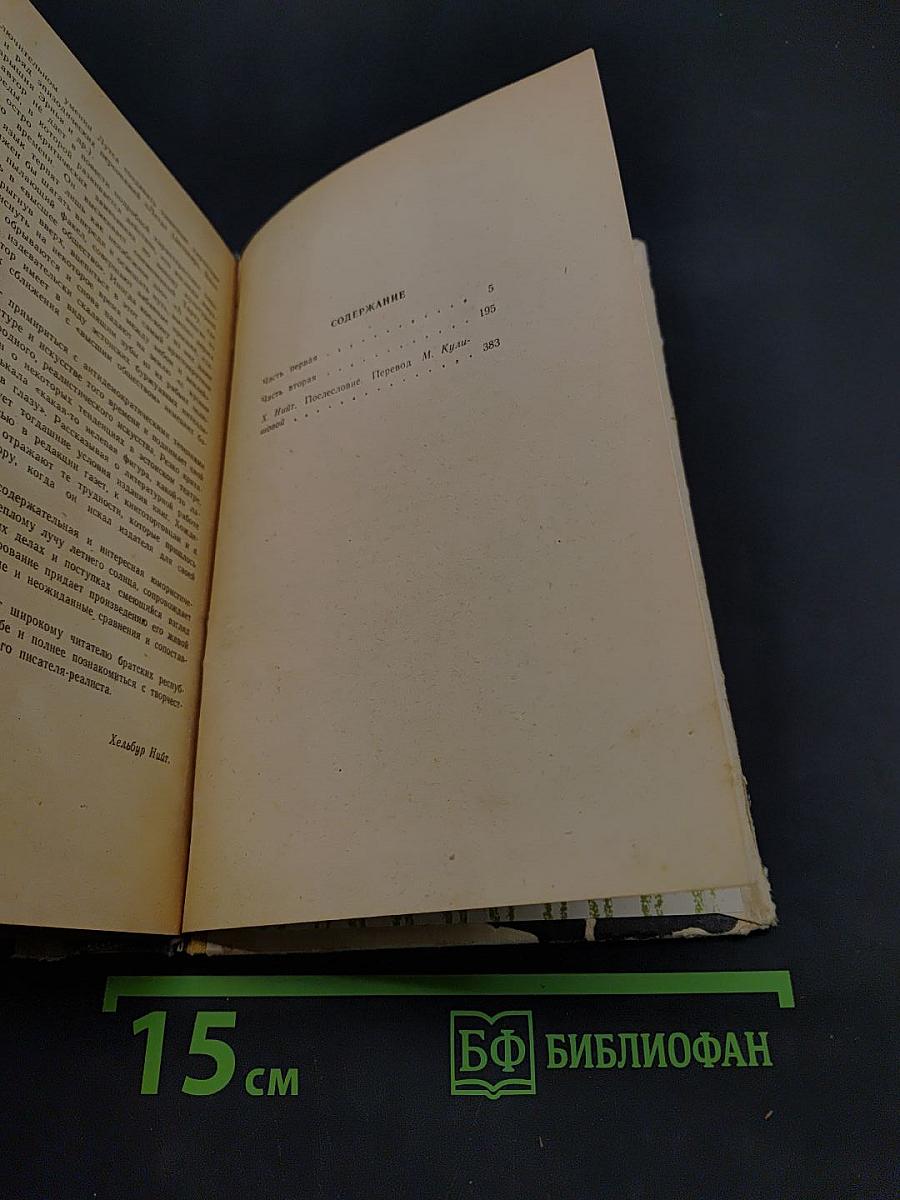 Лето. Картинки юношеских лет