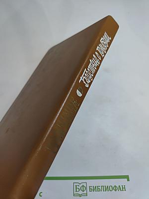 Беседы с голубями