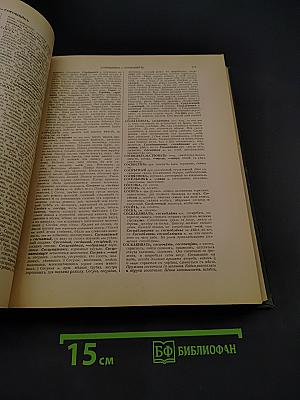 Толковый словарь живого великорусского языка