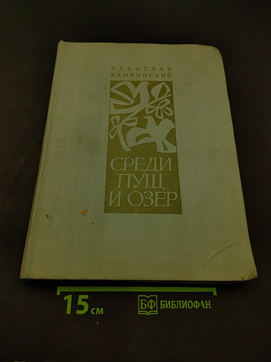 Среди пущ и озер