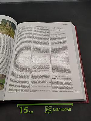 Новая Российская Энциклопедия. Том XII (1). Нитра — Орлеан