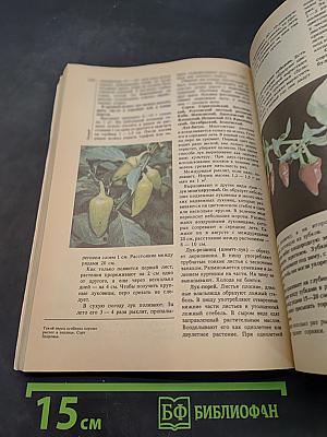 Сад. Огород. Усадьба: Энциклопедия для начинающих