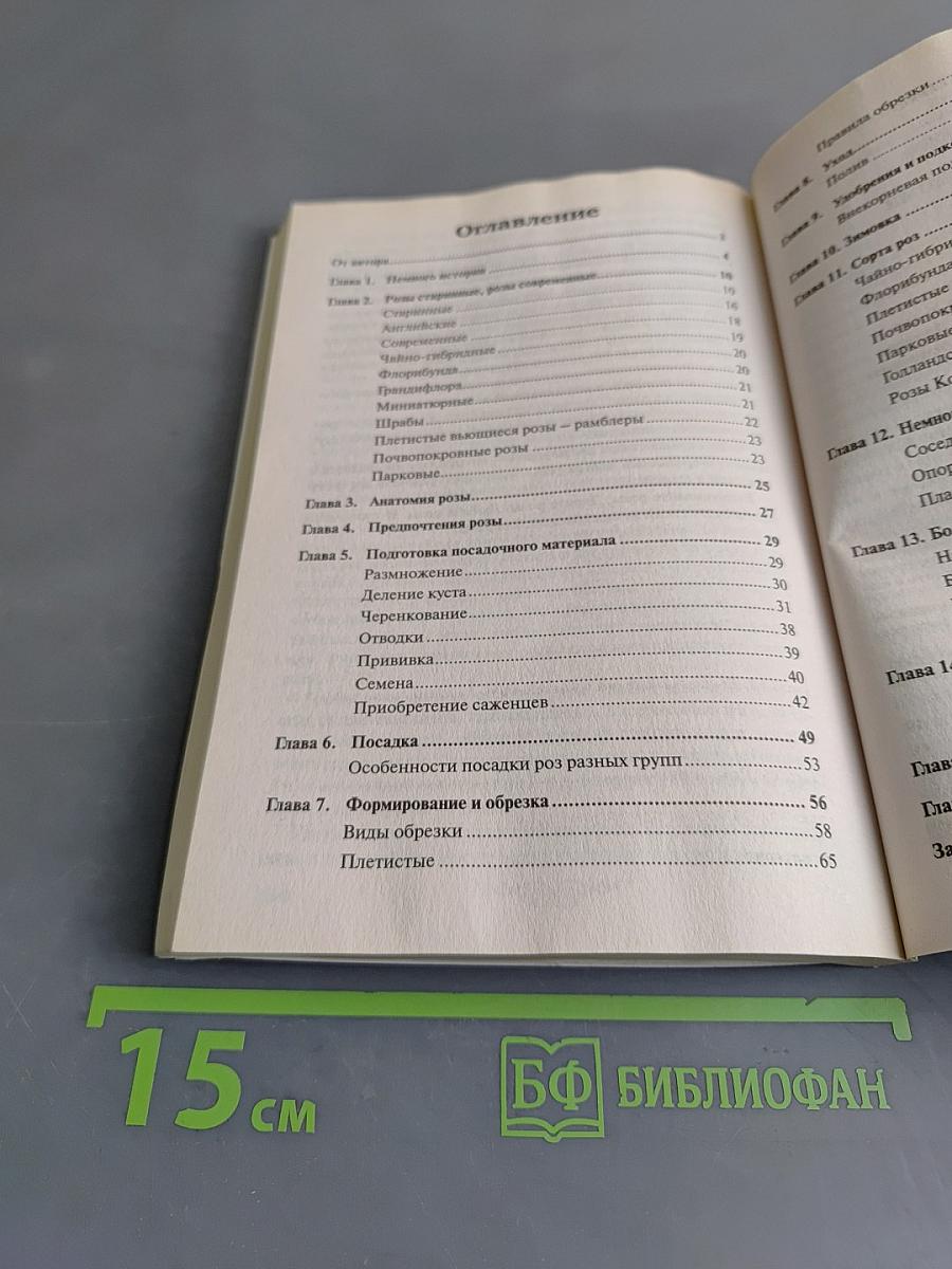 Розы в саду и дома