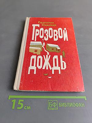 Грозовой дождь