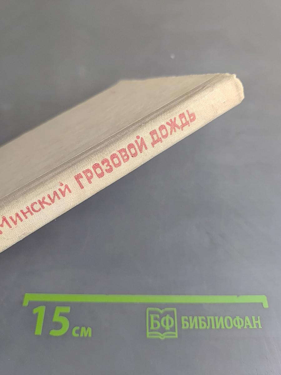 Грозовой дождь