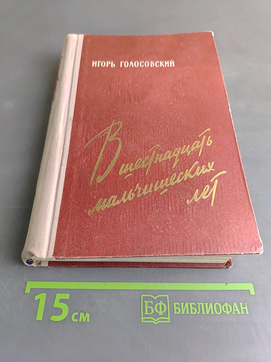 Шестнадцать мальчишеских лет