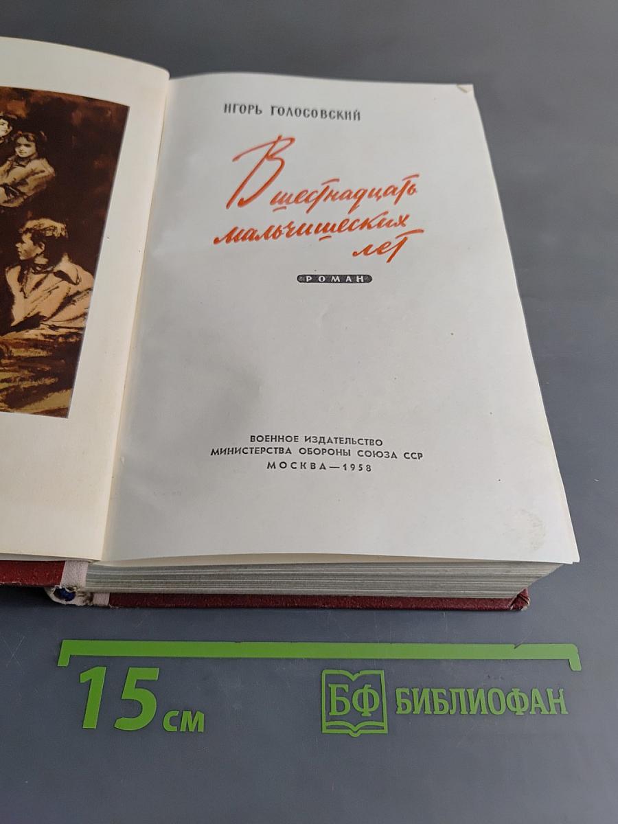 Шестнадцать мальчишеских лет