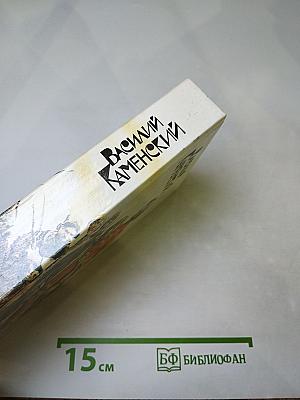 Василий Каменский. Степан Разин. Пушкин и Дантес. Художественная проза и мемуары