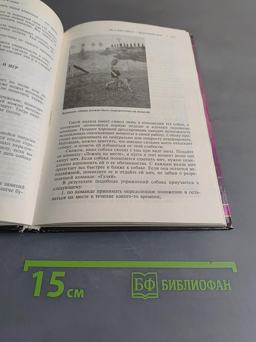 Собака – защитник дома и семьи. Выбор и дрессировка