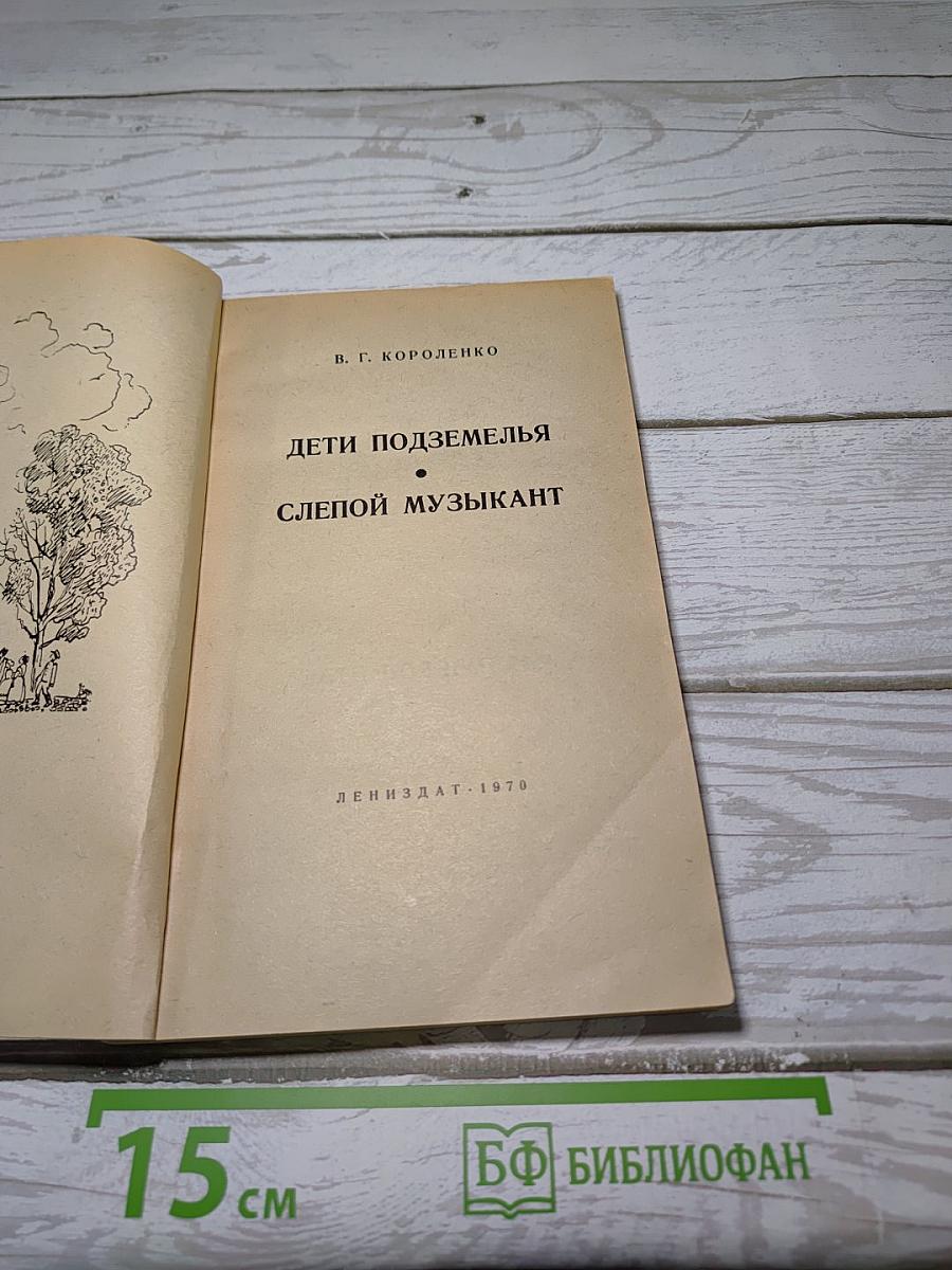 Дети подземелья. Слепой музыкант