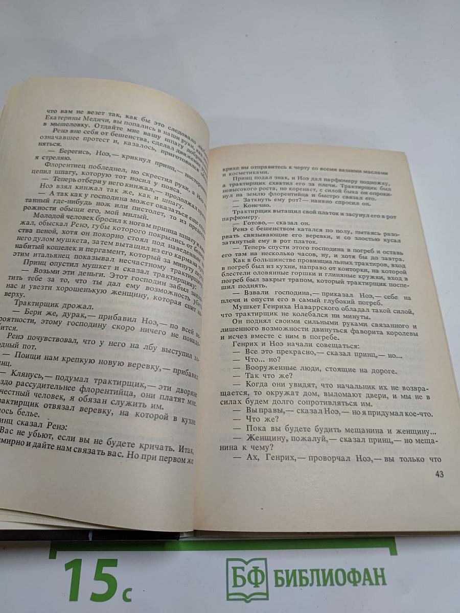 Молодость Генриха IV