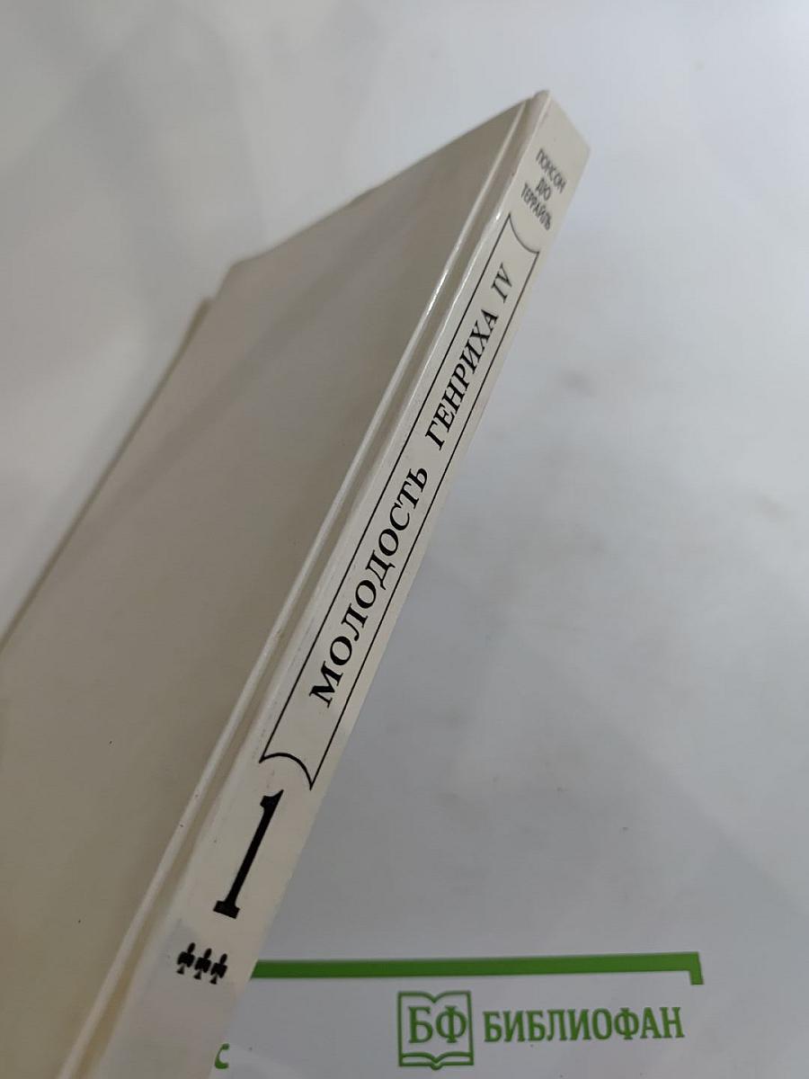 Молодость Генриха IV