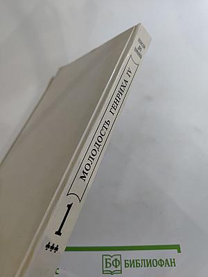 Молодость Генриха IV