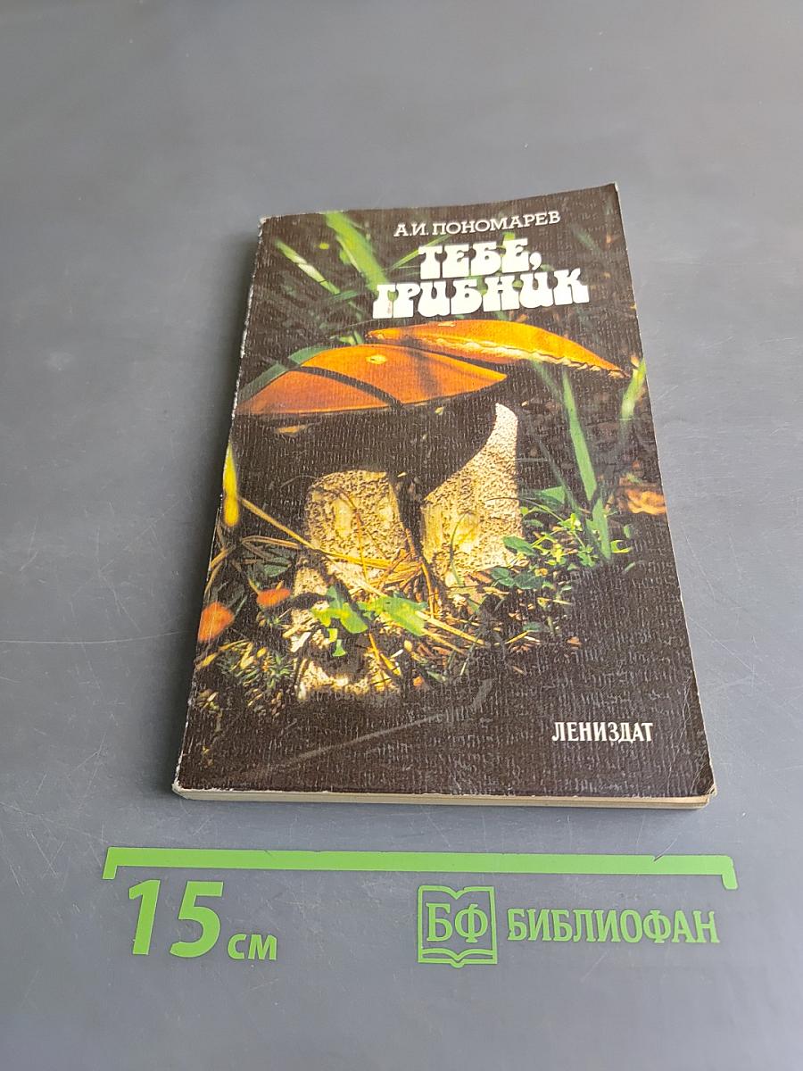 Тебе, грибник