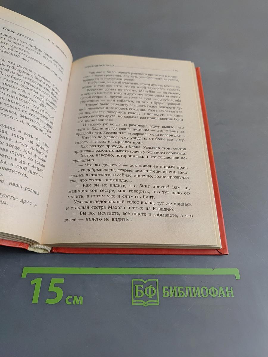 Кладовая солнца. Корабельная чаша