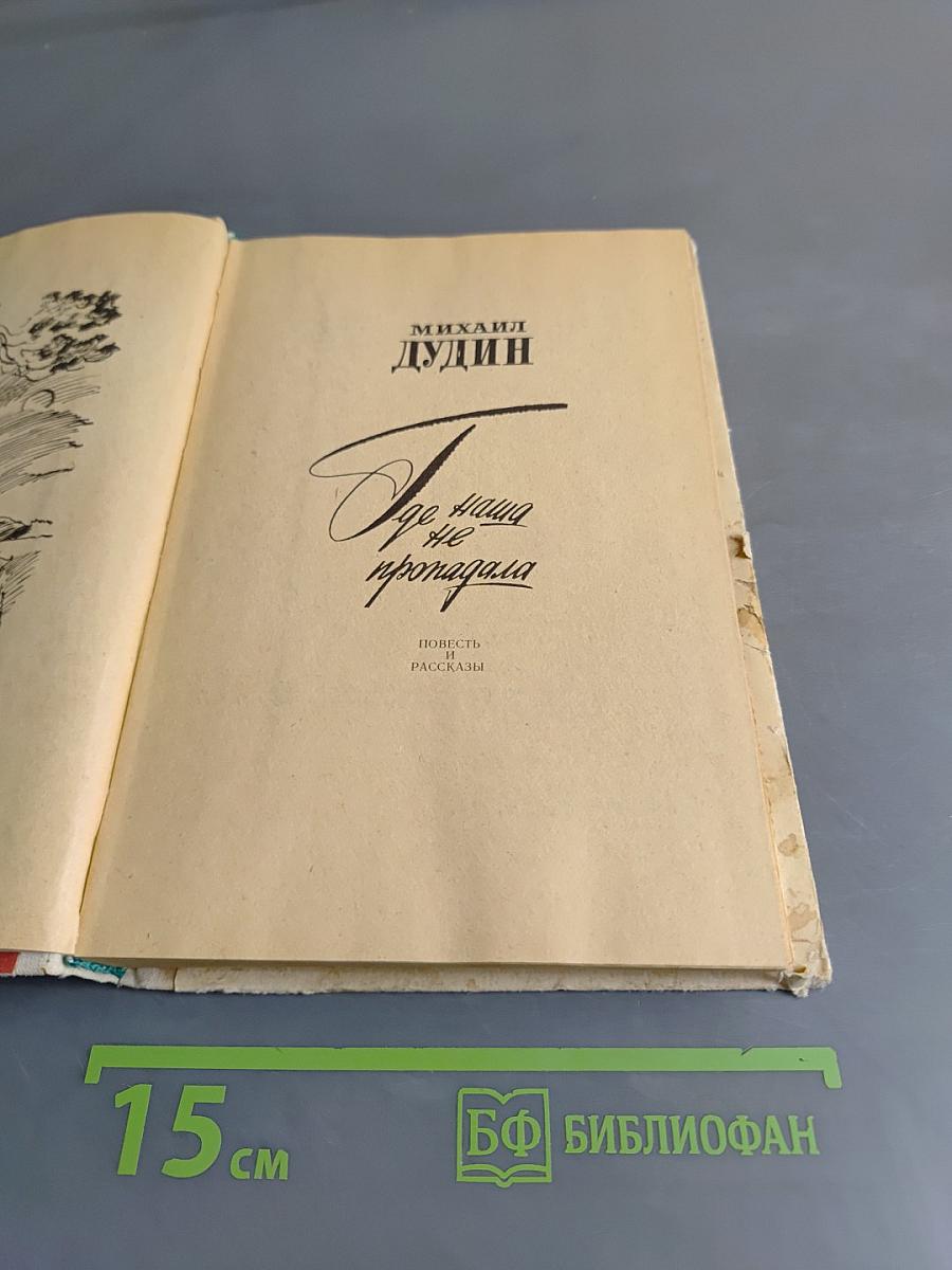 Где наша не пропадала