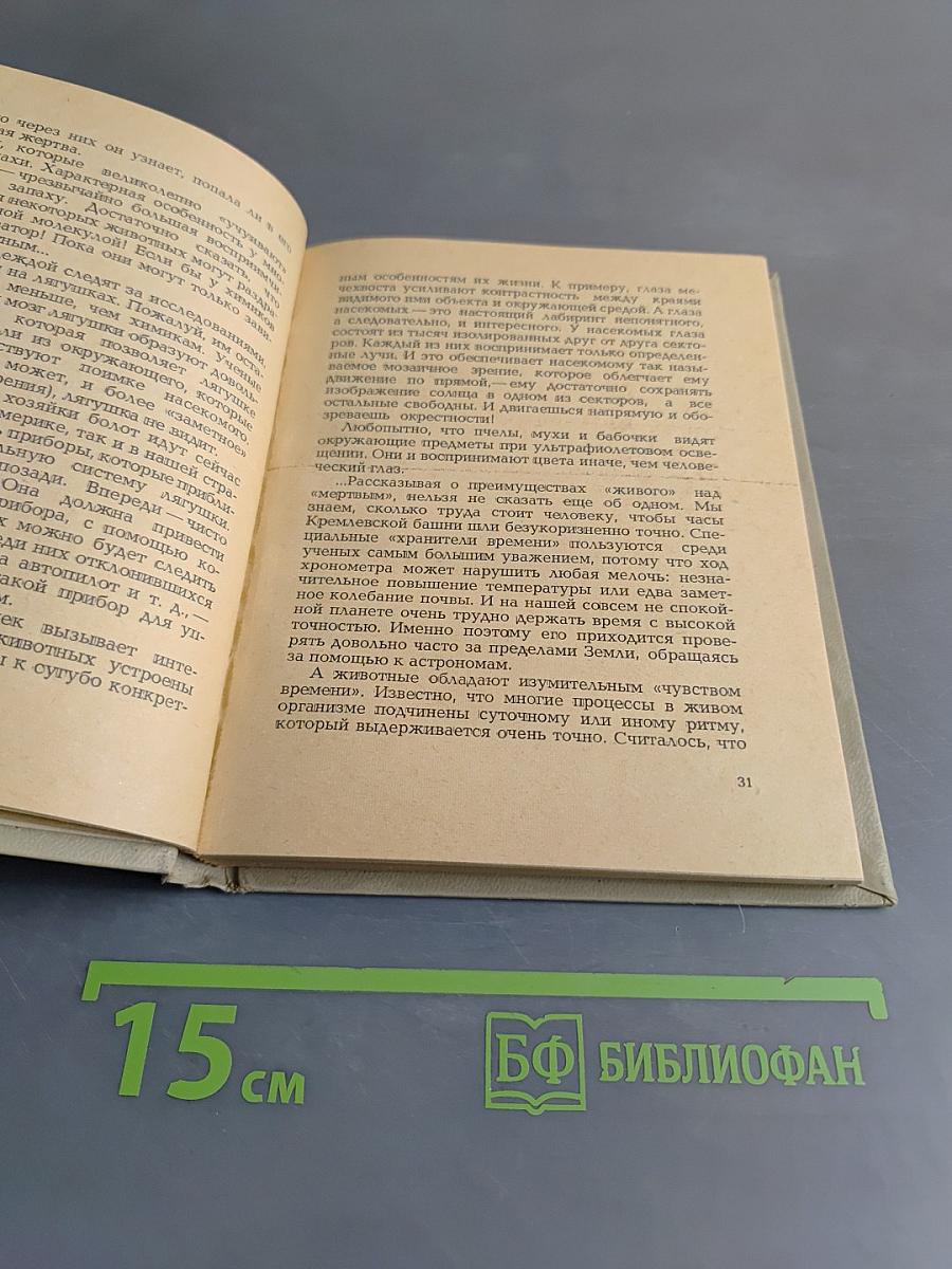 Страна лилипутов